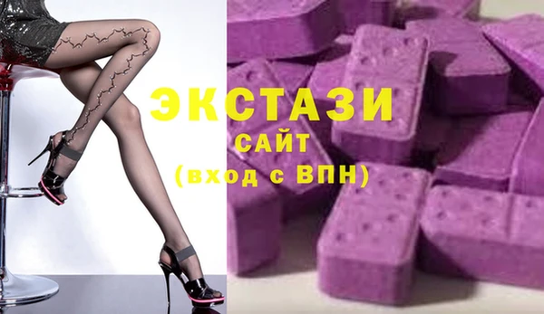 индика Коряжма