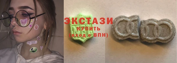 индика Коряжма