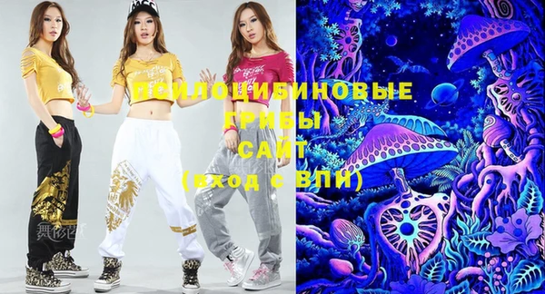 прущая мука Кодинск
