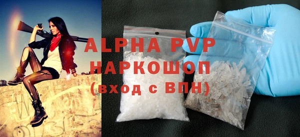 индика Коряжма
